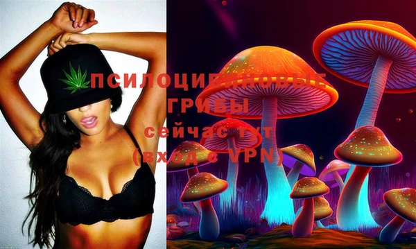 таблы Костерёво