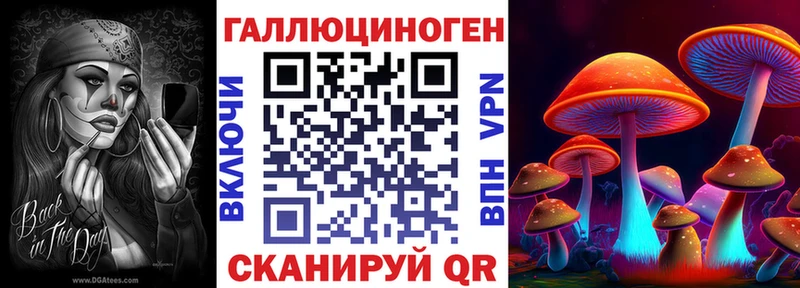 Купить где Ковдор Галлюциногенные грибы GOLDEN TEACHER